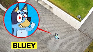 DROHNE überwacht BLUEY HEELER in REAL LIFE um 3 UHR mittags !!