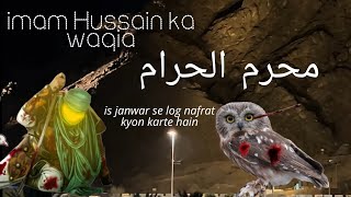 Hazrat Imam Hussain And Owl Story | Imam Hussain AS Aur Ullu Ki Kahani  | Haqeeqat Islamic tv