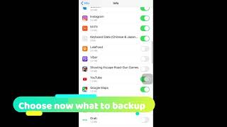 Choose what to backup on iPhone