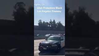 Idiot Protesters Block Los Angeles Freeway