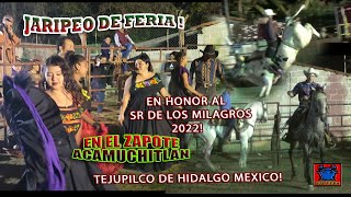 JARIPEO DE FERIA EN EL ZAPOTE ACAMUCHITLAN, TEJUPILCO DE HIDALGO MEXICO