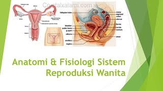 Anatomi & Fisiologi Sistem Reproduksi Wanita