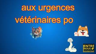 3115 urgence animalière