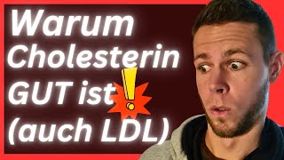 Die Wahrheit über Cholesterin (niemand sagt dir das...)