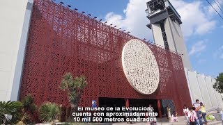 Museo de la Evolución | Libros, Letras y más | David Villanueva Lomelí