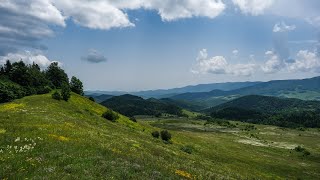 Algeti National Park - Raw Hiking