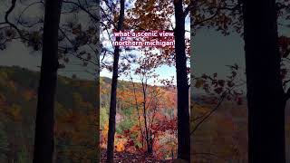 Scenic view northern michigan #short #autumn #fallvibes #shortvideo #shortsfeed #shorts #shortviral