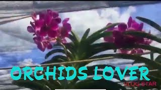 Orchids.Davao Life is Here