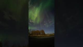 Sky Fire #Subscribe #Alaska #Northernlights #Auroraborealis #Shorts #Outdoors #Nature #Space #Stars