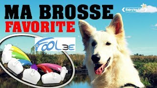 UNE BROSSE POUR CHIEN RÉVOLUTIONNAIRE - FOOLEE ✿ Enjoying Life