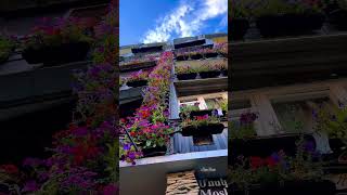 Beautiful  Yerevan Armenia, Short Clips.