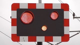 Railway Crossing Lights Gone Crazy !