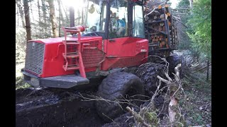 Valmet 840.3 logging in sunny spring forest