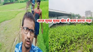 आज सुबह सुबह खेत मे काम करना पड़ा || #villagelife #villlagevlog #abhayfamilyvlogs #sauravjoshivlogs