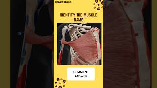 Identify the upper arm muscles quiz #anatomy #neetpgmcq #humananatomy