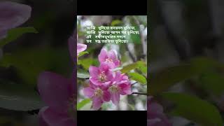 aji basanta jagroto dware -- Rabindrasangeet by Amitava Sen