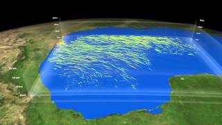 Circulação e direcção dos ventos na "Tropical Depression 95L"