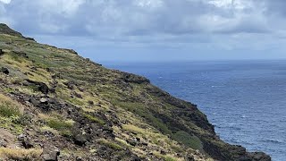 Aún en Hawaii