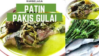 Wajib Dicoba !!! Cara Memasak Gulai Ikan Patin dan Pakis Khas Kampar