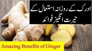 ادرک کے روزانہ استعمال کے حیرت انگیز فوائد |  Amazing Benefits of daily use of Ginger