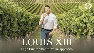 High Environmental Value approach I Interview of Baptiste Loiseau I LOUIS XIII Cognac