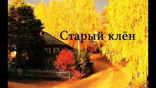 Старый клён - Positive TV 21