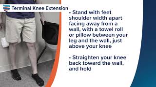 Standing Terminal Knee Extension