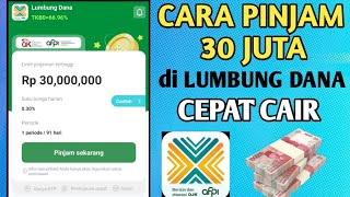 Cara Pinjam Uang di Lumbung Dana Terbaru | Cara Daftar Lumbung Dana Pinjaman online | 30 Jt