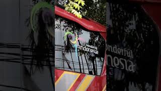 cinematic bus pariwisata kupu kupu ayu trans kiano