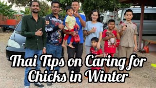 Best Thai Tips on Caring for Chickens in Winter | Taking Care of Baby Chicks | Lahore Aseel TV |