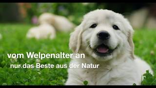 HiNX   Das beste Hundefutter der Welt