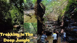 Trekking In The Deep Jungle , Saiselpunji Waterfall  // Assam , Northeast