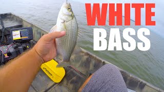 First Jon Boat WHITE BASS Vertical Jigging The Main Lake