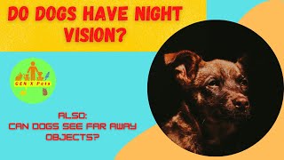 Do dogs have night vision? | Can dogs see far away objects?