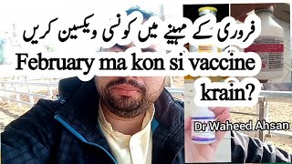 February k mahinay ma kon si vaccine krain??