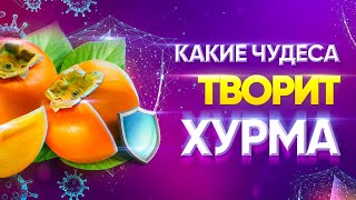 ✅ Что Будет Если Есть ХУРМУ Каждый День ❗❗ Чем полезна хурма❓❗ ЗДОРОВЫЙ ОБРАЗ ЖИЗНИ