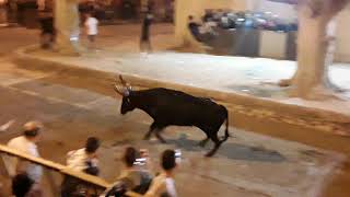 Encierro Caissargues 9/06/2019