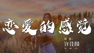 戀愛的感覺 - 許佳麟『每一天都在想你 每一天都在愛你』【動態歌詞Lyrics】