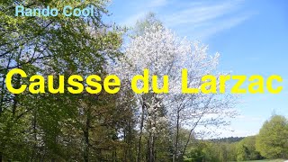 S3-05-Au coeur du Causse du Larzac & visite de La Couvertoirade / #Larzac #Couvertoirade