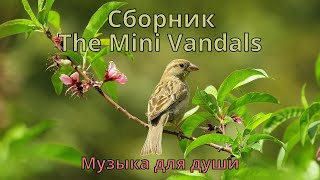 Сборник The Mini Vandals.  Музыка для души. Музыка на каждый день.