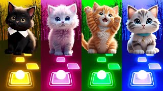 CUTE CATS - LADY GAGA BLOODY MARY VS SHAKIRA WAKA WAKA VS JISOO FLOWER VS BTS DYNAMITE