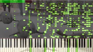 seels midi but played in synthesia