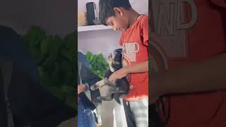 Lili ne harsh raj ko apni mammy samaj liya #shortsvideo #viral #shorts