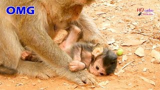 OMG !! Big Bertha not hold her newborn Bailee, Pity newborn Bailee mouth hit ground eat sandy