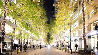 [4K]Tokyo Christmas Lights Night Walk✨ Marunouchi Illumination