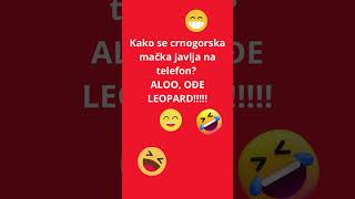 Leopard!!!  #vicevi #smesniklipovi #zabava #smehdosuza #komedija #vicnablic