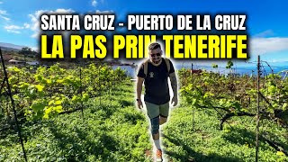 😱 Am făcut o NEBUNIE ❌ | Câți KM am mers pe jos prin TENERIFE într-o singură zi ☀️🥇