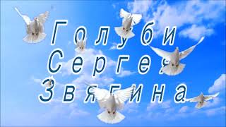 Николаевские голуби хорошо полетали 20 декабря 2022 год