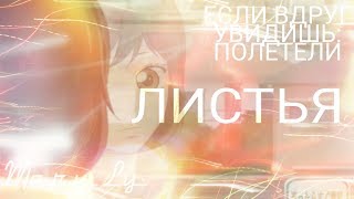 Дорога Юности {Если Вдруг Увидишь: Полетели Листья} [AMV] (Чит.Опис)