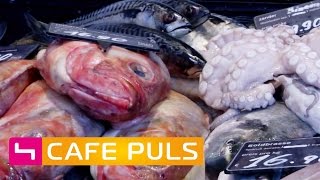 Gibt es bald keine Fische mehr? | Café Puls